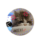 mochi1（個別スタンプ：7）