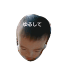 息子達のごめんスタンプ（個別スタンプ：5）