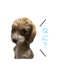 しゃくれまる（個別スタンプ：2）