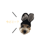 しゃくれまる（個別スタンプ：7）