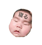 ぼくは、ひなのじ！（個別スタンプ：4）