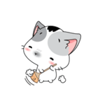 Neko Cat Kitty Cute Cute（個別スタンプ：6）