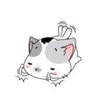 Neko Cat Kitty Cute Cute（個別スタンプ：9）