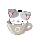 Neko Cat Kitty Cute Cute（個別スタンプ：10）