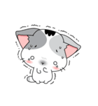 Neko Cat Kitty Cute Cute（個別スタンプ：11）