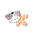 Neko Cat Kitty Cute Cute（個別スタンプ：12）