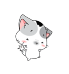 Neko Cat Kitty Cute Cute（個別スタンプ：14）