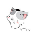 Neko Cat Kitty Cute Cute（個別スタンプ：16）