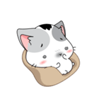 Neko Cat Kitty Cute Cute（個別スタンプ：17）