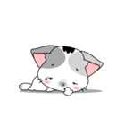 Neko Cat Kitty Cute Cute（個別スタンプ：30）