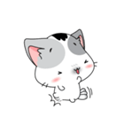 Neko Cat Kitty Cute Cute（個別スタンプ：34）