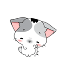 Neko Cat Kitty Cute Cute（個別スタンプ：37）
