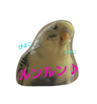 わがままインコ（個別スタンプ：23）