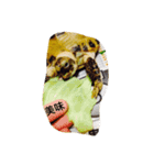 ロッシー（個別スタンプ：3）