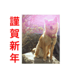 Lovery dogs 2（個別スタンプ：3）