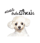 PeeMai FC（個別スタンプ：1）