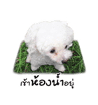 PeeMai FC（個別スタンプ：2）