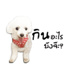 PeeMai FC（個別スタンプ：6）