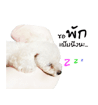 PeeMai FC（個別スタンプ：7）