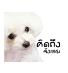 PeeMai FC（個別スタンプ：8）