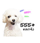 PeeMai FC（個別スタンプ：10）
