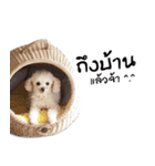 PeeMai FC（個別スタンプ：11）