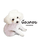 PeeMai FC（個別スタンプ：12）