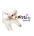 PeeMai FC（個別スタンプ：15）