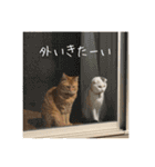 猫のひざもち（個別スタンプ：22）