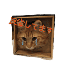 猫のひざもち（個別スタンプ：33）