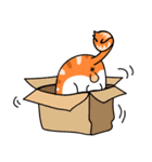 Joll : The office cat（個別スタンプ：4）