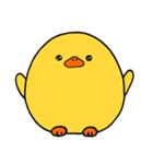 Baby Ducky（個別スタンプ：1）