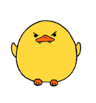 Baby Ducky（個別スタンプ：24）