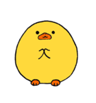 Baby Ducky（個別スタンプ：31）