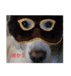 アルとエル（個別スタンプ：1）