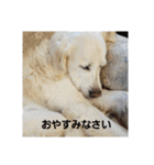 アルとエル（個別スタンプ：4）