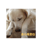 アルとエル（個別スタンプ：5）