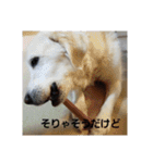 アルとエル（個別スタンプ：6）