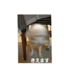 アルとエル（個別スタンプ：10）