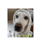 アルとエル（個別スタンプ：11）