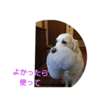 アルとエル（個別スタンプ：13）