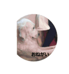アルとエル（個別スタンプ：20）