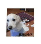 アルとエル（個別スタンプ：23）