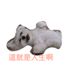 Dou Dou not dog（個別スタンプ：6）