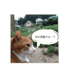 corochan1（個別スタンプ：4）