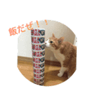 corochan1（個別スタンプ：5）