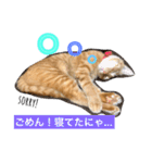 ねこのきぶん*（個別スタンプ：9）