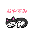 色んな猫（個別スタンプ：6）