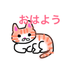 色んな猫（個別スタンプ：10）