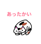 色んな猫（個別スタンプ：16）